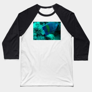 angelfish Baseball T-Shirt